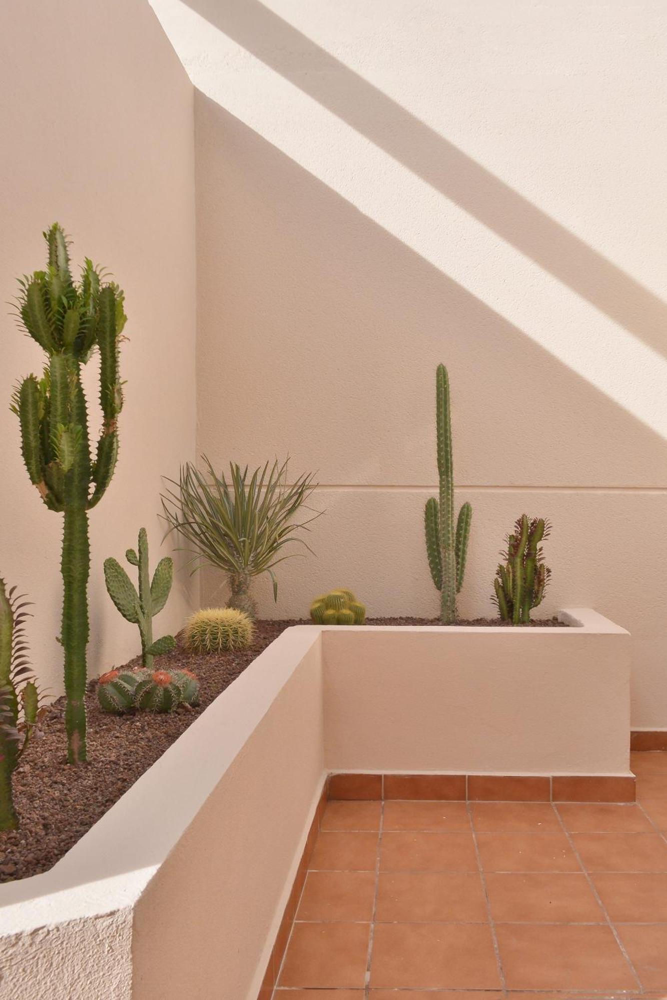 Casa Mareterra - Design Villa With Pool And Terrace Near Corralejo And Lajares Exterior foto